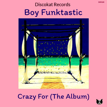 Boy Funktastic - Crazy For (The Album)