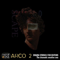 Richard Harvey - Arco 2