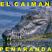 Peñaranda - El Caimán
