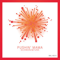 Schwarz & Funk - Pushin' Mama (Long Train Running)