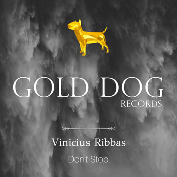 Vinicius Ribbas - Don't Stop