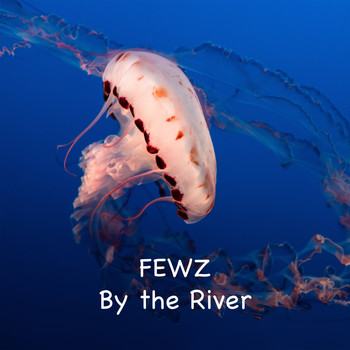 FEWZ / - By The River