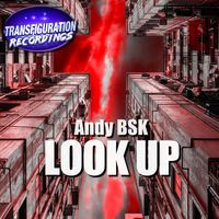 Andy BSK - Look Up