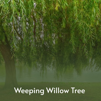 Various Artists - Weeping Willow Tree