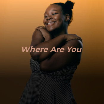 Various Artists - Where Are You
