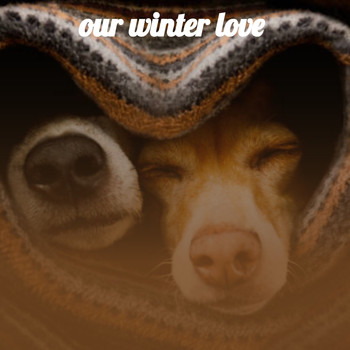 Various Artists - Our Winter Love