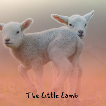 Various Artists - The Little Lamb