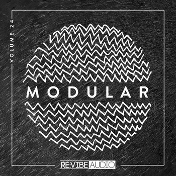 Various Artists - Modular, Vol. 24