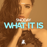SnoDay - What It Is
