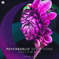 Ritmo - Psychedelic Selections Vol 003 Compiled by Ritmo