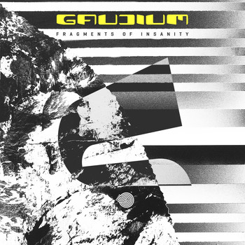 Gaudium - Fragments of Insanity
