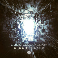 Liquid Soul - Cydonia (E-Clip Remix)