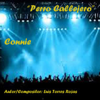 Connie - Perro Callejero