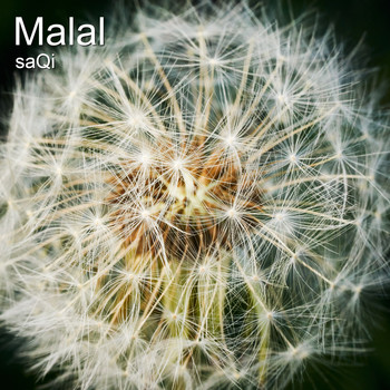 Saqi - Malal