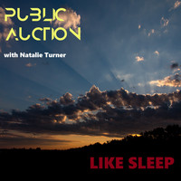 Public Auction / - Like Sleep