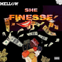 Mellow - She fines$e It (Explicit)