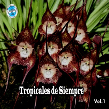 Varios Artistas - Tropicales de Siempre, Vol. 1