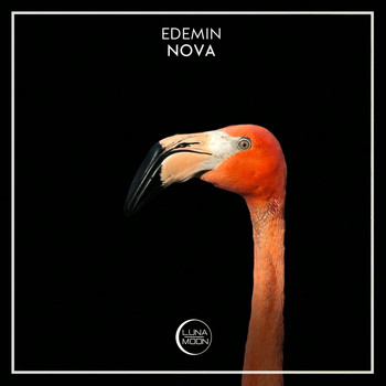 Edemin - Nova
