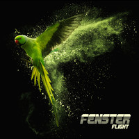 Fenster - Flight