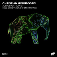 Christian Hornbostel - Audiospektrum
