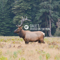 Dale T - Moose on the Run