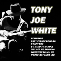 Tony Joe White - Baby Please Don't Go (Live)