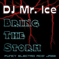 DJ Mr. Ice - Bring the Storm (Explicit)