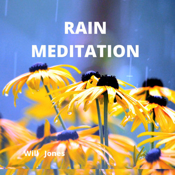 Will Jones - Rain Meditation