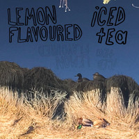 Mark Bernacki / - Lemon Flavoured Iced Tea
