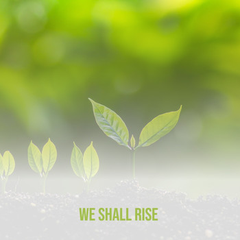 Various Artists - We Shall Rise