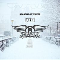 Aerosmith - Seasons Of Winter (Live)