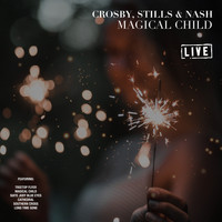 Crosby, Stills & Nash - Magical Child (Live)