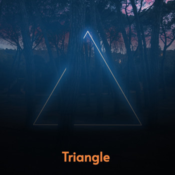 Various Artists - Triangle