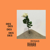 Rosas - Des