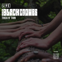 The Black Crowes - Thick N' Thin (Live)