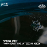 The Bunch of Fives - Too Much of Anything Ain't Good for Nobody (Live)