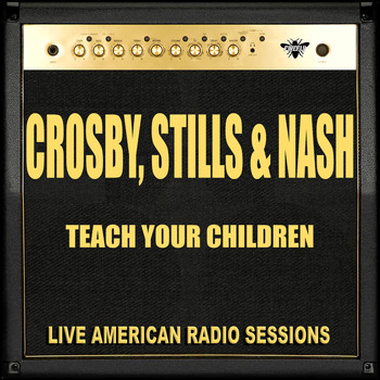 Crosby, Stills & Nash - Teach Your Children (Live)