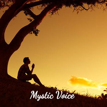 Various Artists - Mystic Voice