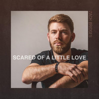 Zach Bridges - Scared of a Little Love