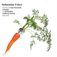Sebastian Volco - Selection of Experimental, Strange and Beautiful Ambient Music 1997-2009