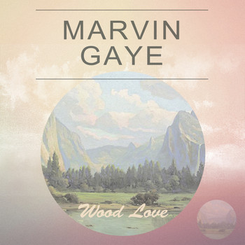 Marvin Gaye - Wood Love