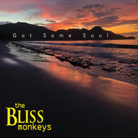 The Bliss Monkeys - Got Some Soul