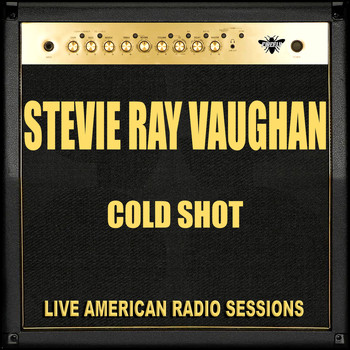 Stevie Ray Vaughan - Cold Shot (Live)