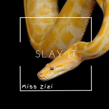 Miss Zizi - Slay It