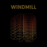 Windmill - Raised by Guesswork