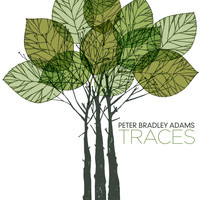 Peter Bradley Adams - Traces