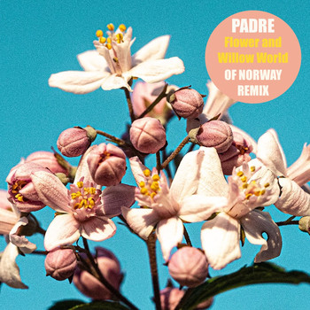 padre - Flower And Willow World (Of Norway Version)
