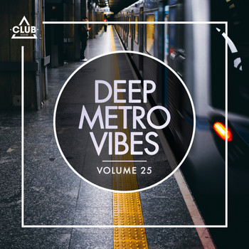 Various Artists - Deep Metro Vibes, Vol. 25 (Explicit)