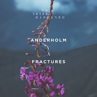 Anderholm - Fractures