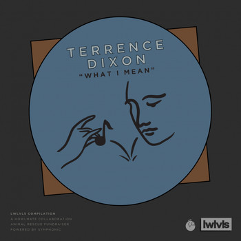 Terrence Dixon - What I Mean